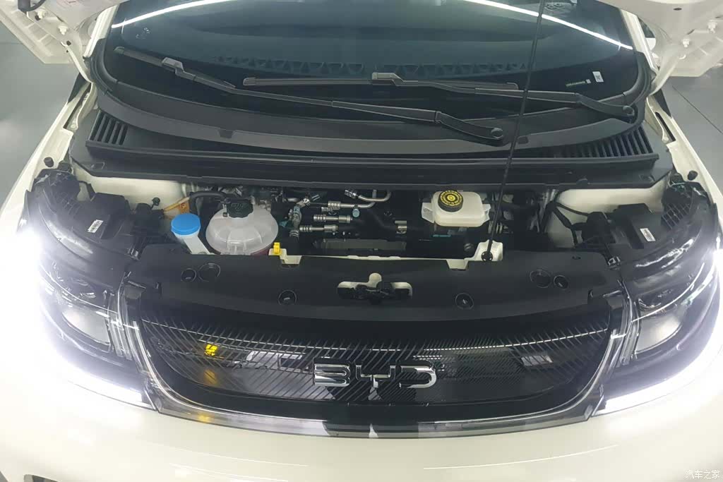 BYD Dolphin, 2026 10
