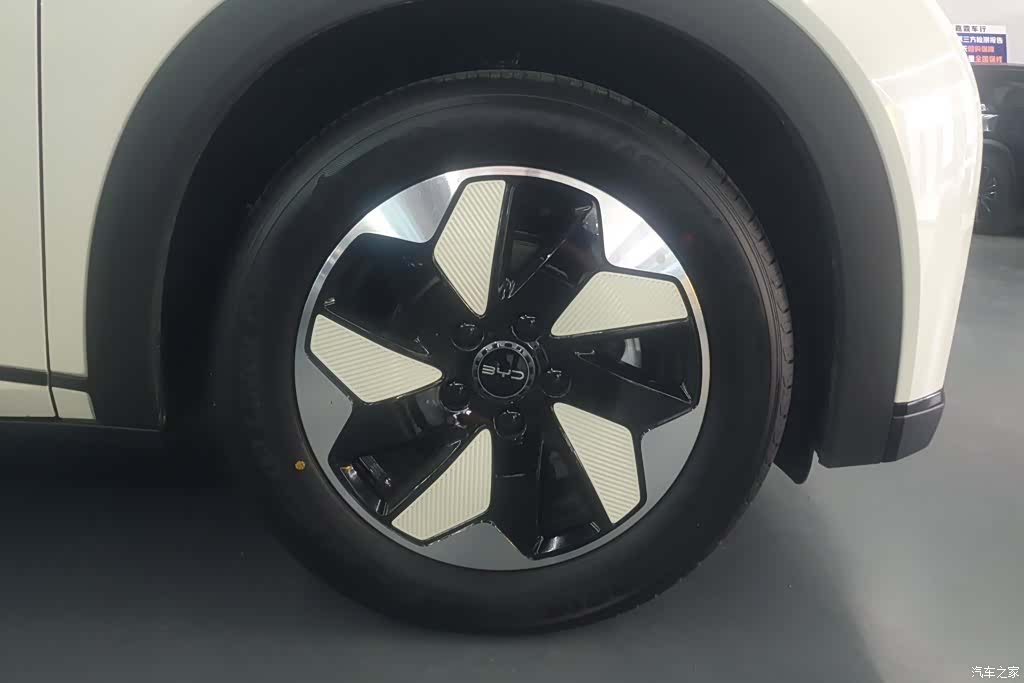 BYD Dolphin, 2026 6