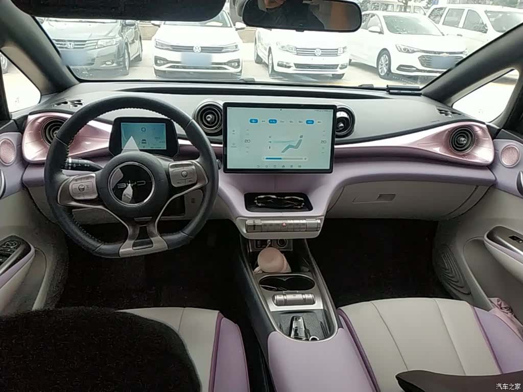 BYD Dolphin, 2021 10