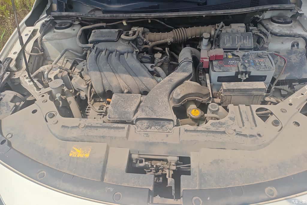Nissan D60, 2020 10