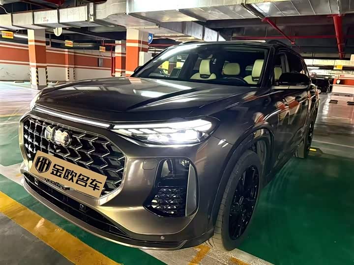 Audi Q6 50 TFSI quattro Lingyun Edition One 2023