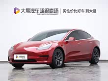 Model 3 2019 ׼