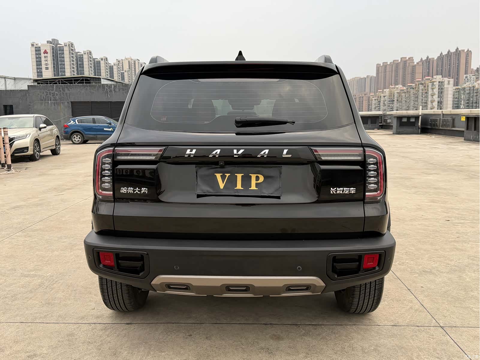 Haval Big Dog, 2021 18