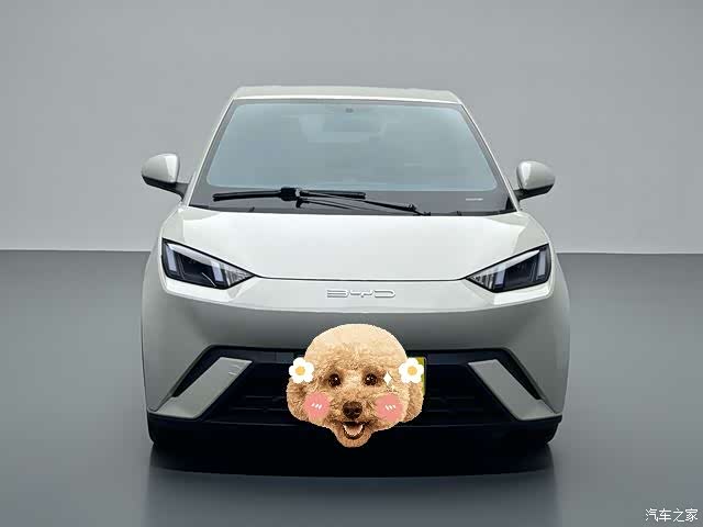 BYD Seagull, 2024 2