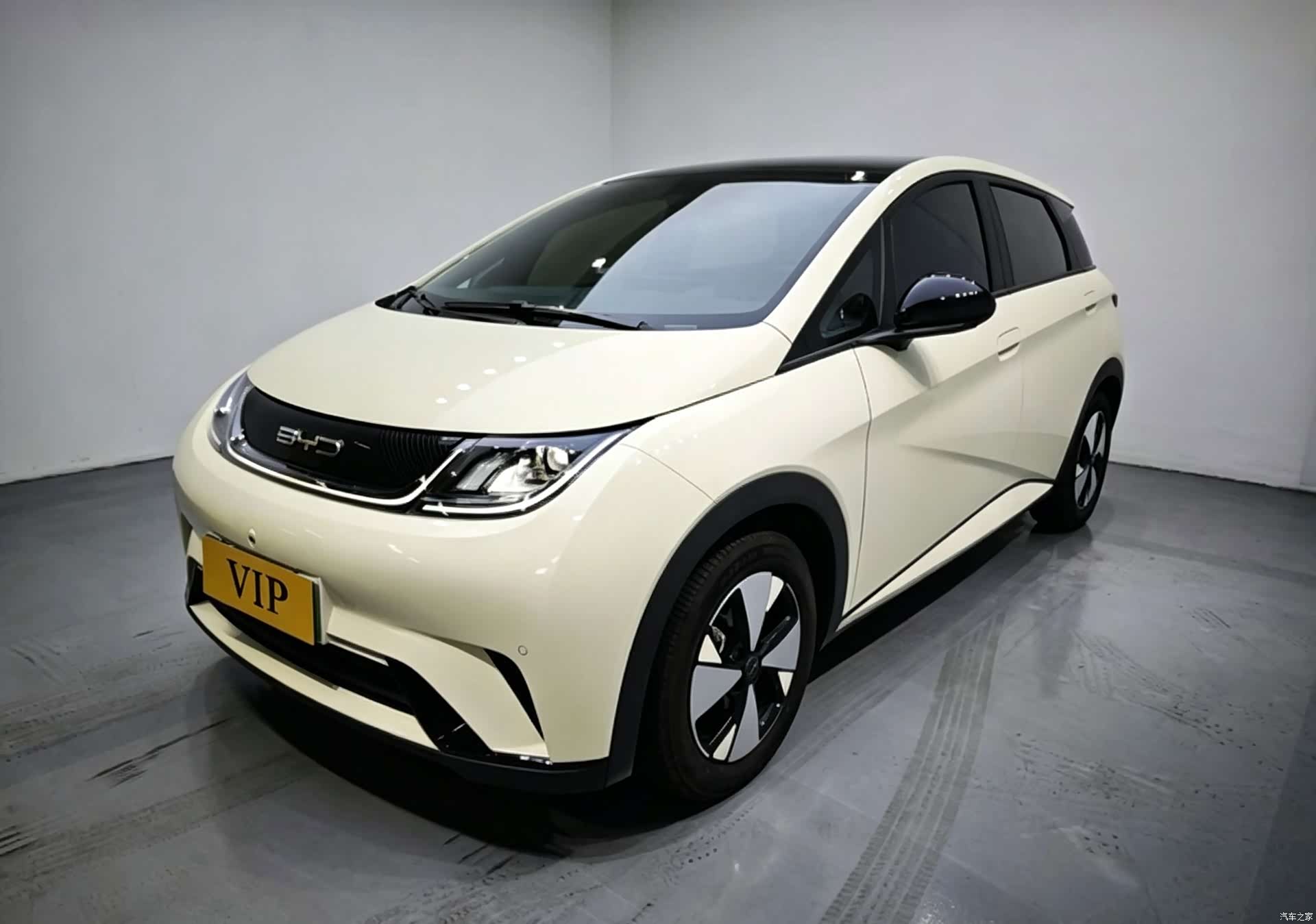 BYD Dolphin, 2024 1