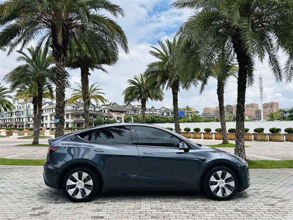 Tesla Model Y Tesla Model Y