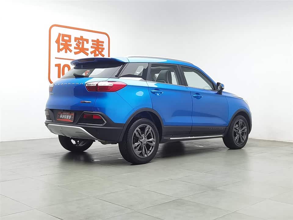 Leopaard Cheetah CS9