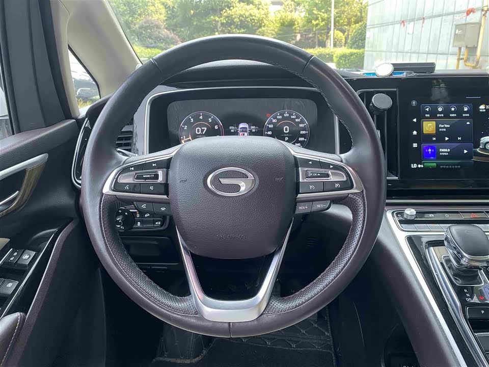 Trumpchi Trumpchi M8 Trumpchi Trumpchi M8