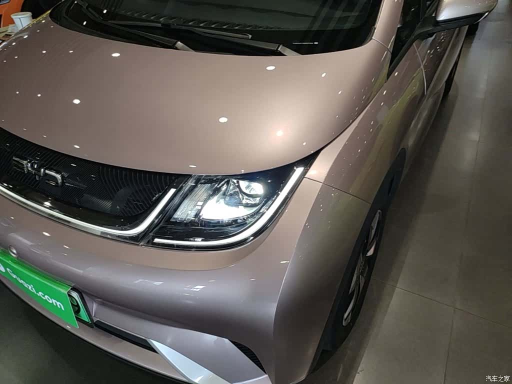 BYD Dolphin, 2024 24