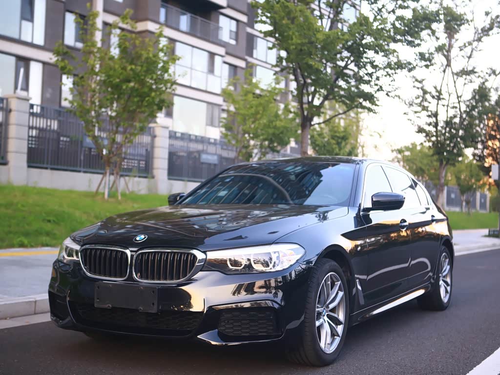BMW 5 Series 5 2020 525Li M Sport