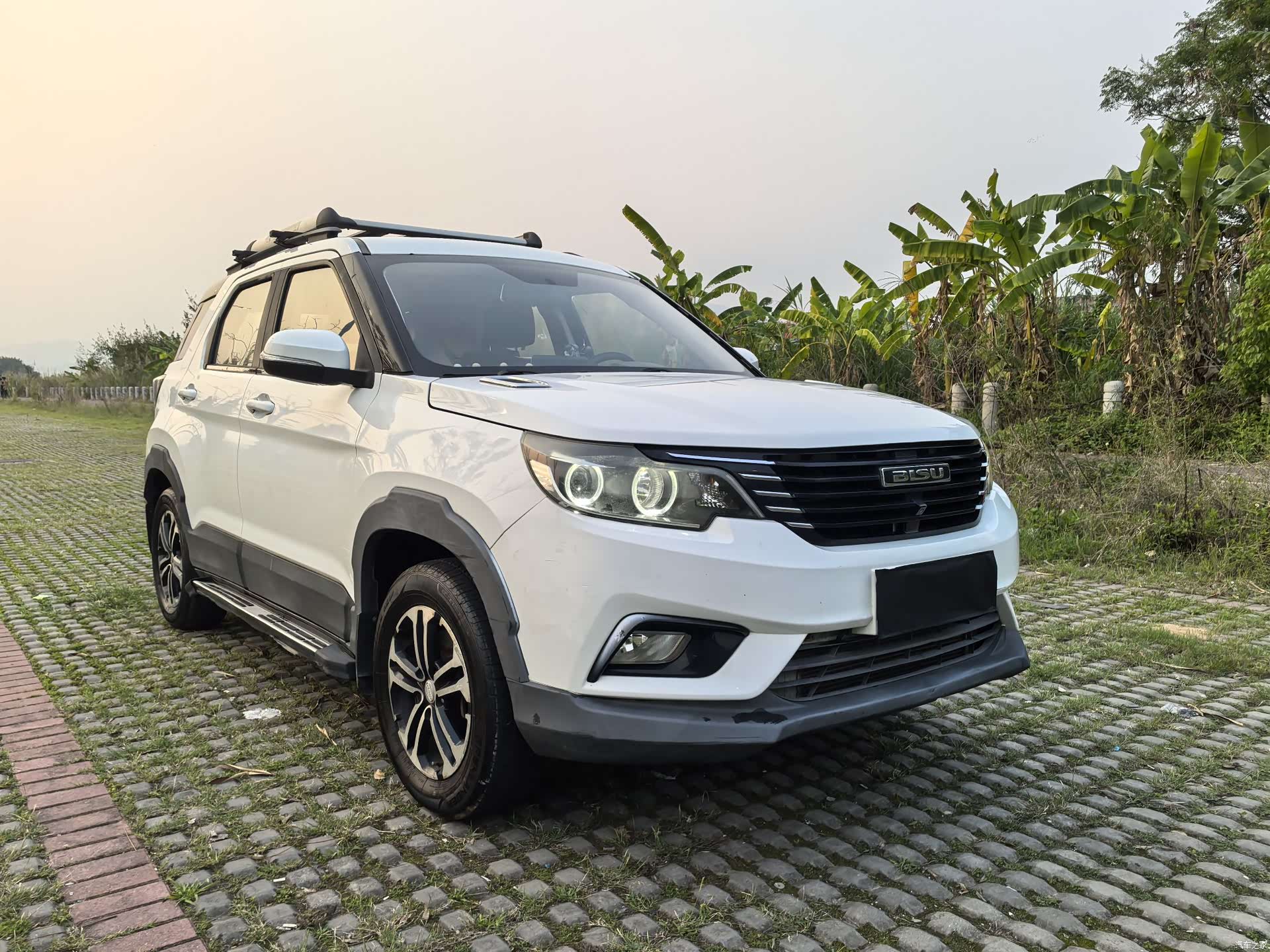 Bisu T3, 2017 3