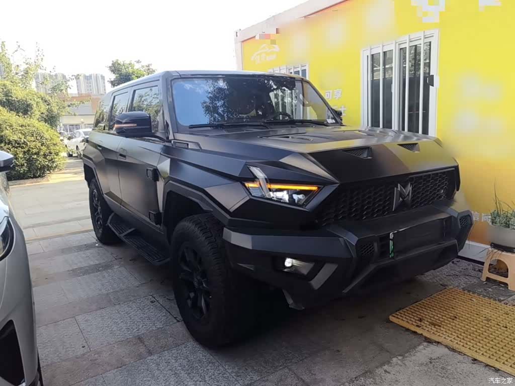 Mengshi 917, 2024 4