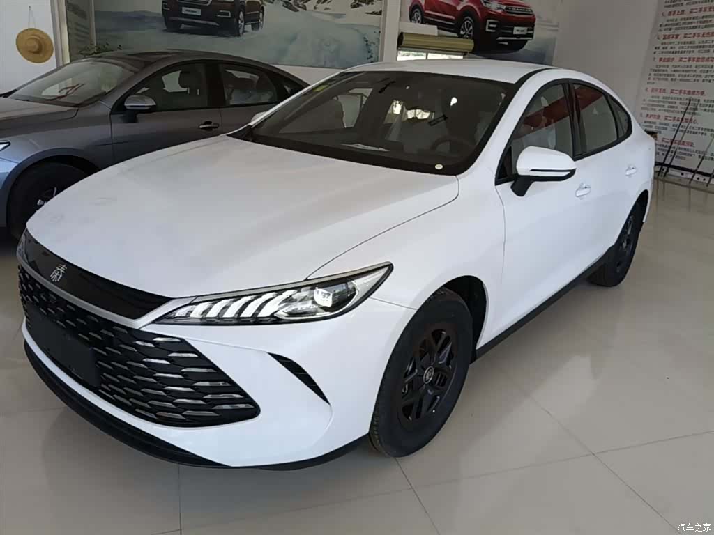 BYD Qin, 2026 1