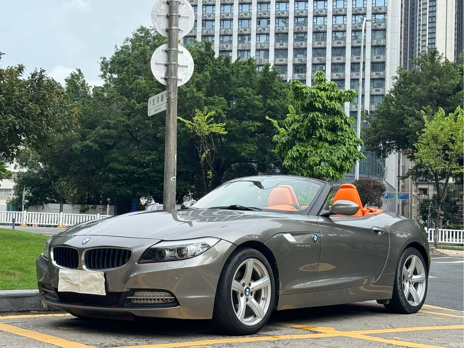 BMW Z4, 2010 1