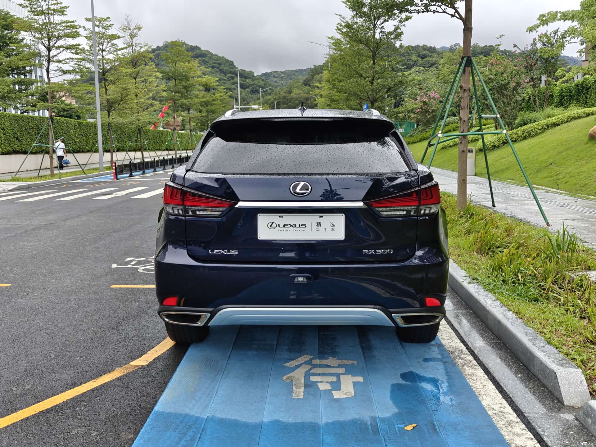Lexus RX, 2022 17