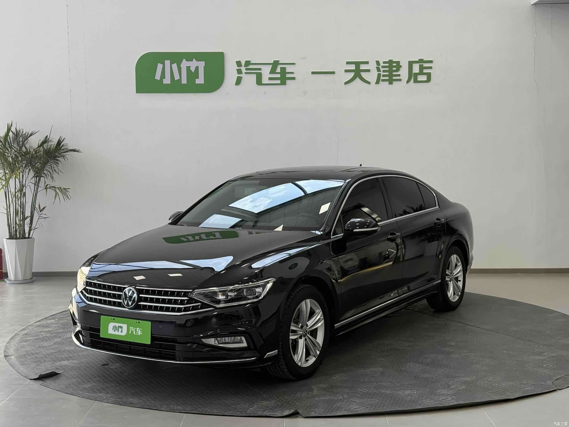 Volkswagen Magotan, 2024 1