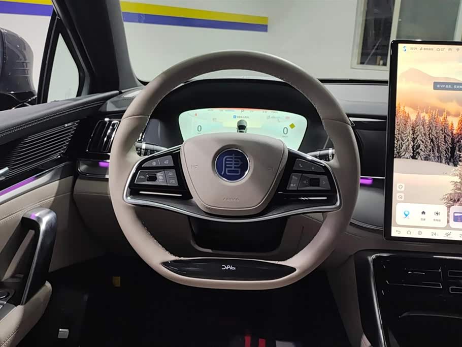 BYD Tangxin Energy