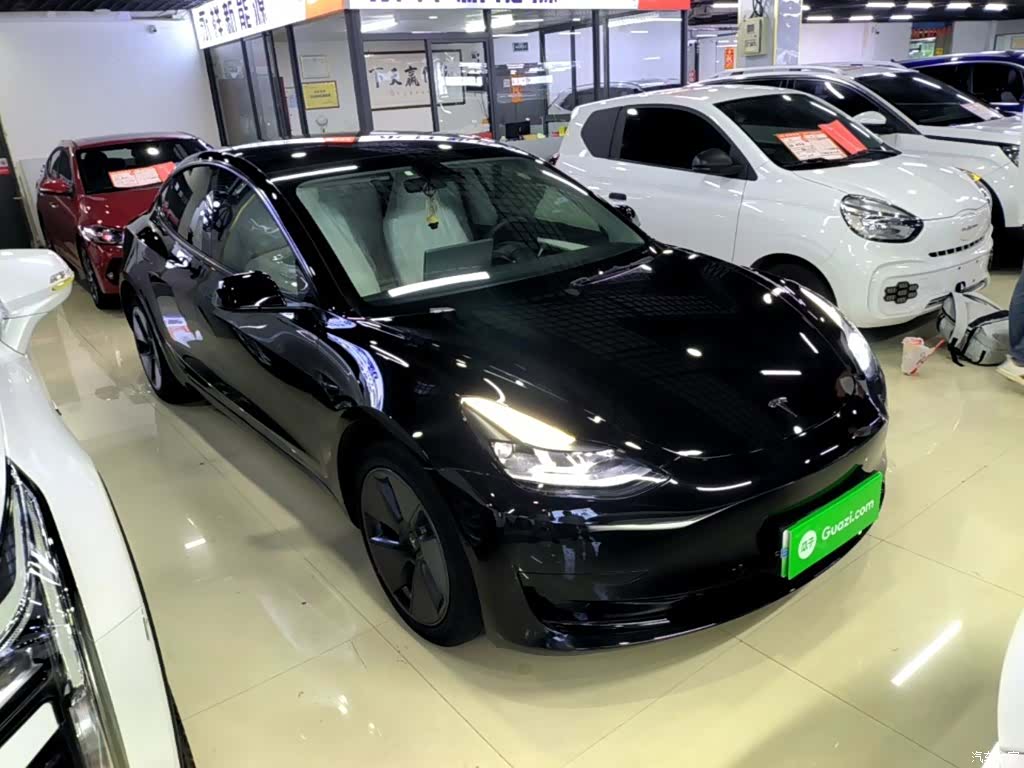 Tesla Model 3, 2023 4