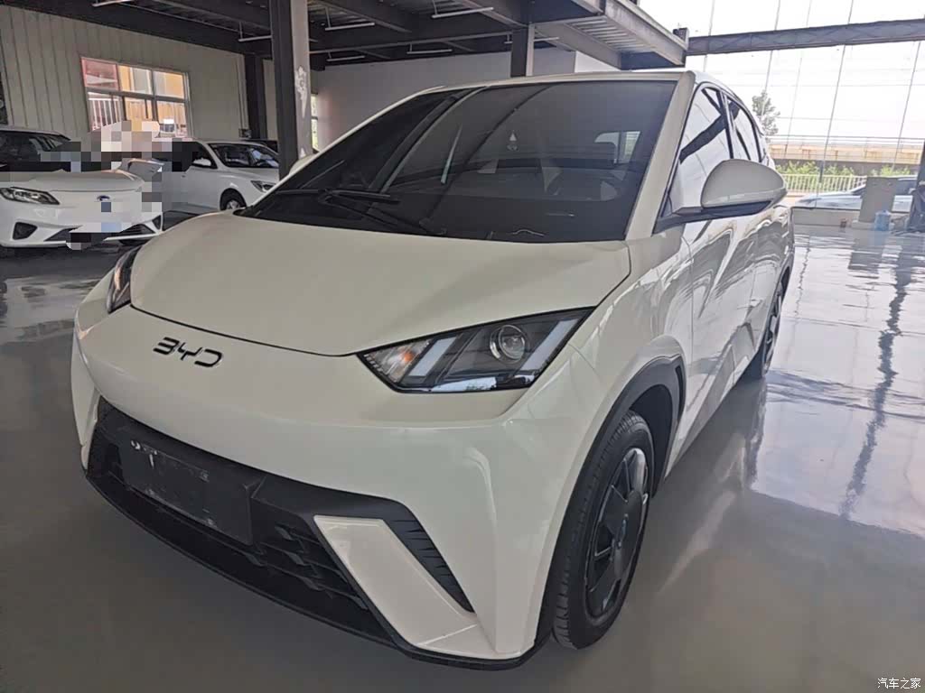 BYD Seagull, 2025 2