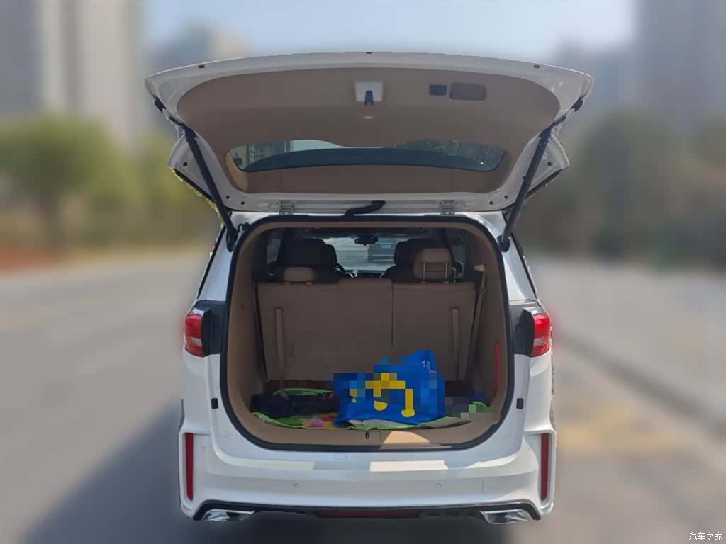 Buick GL8, 2018 10