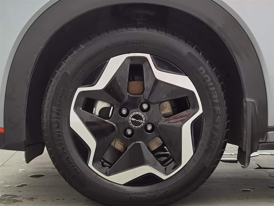 BYD dolphin BYD dolphin