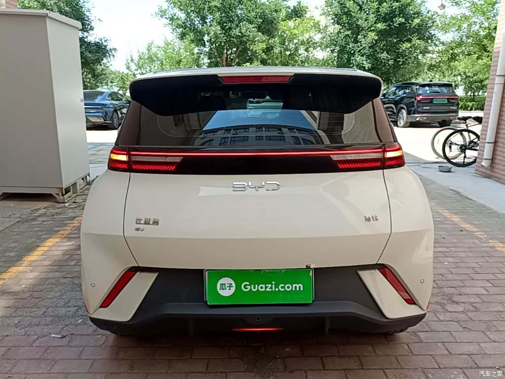 BYD Seagull, 2024 6