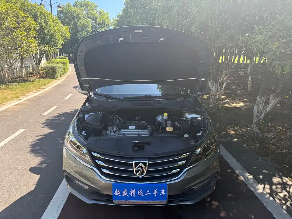 Baoding 310W