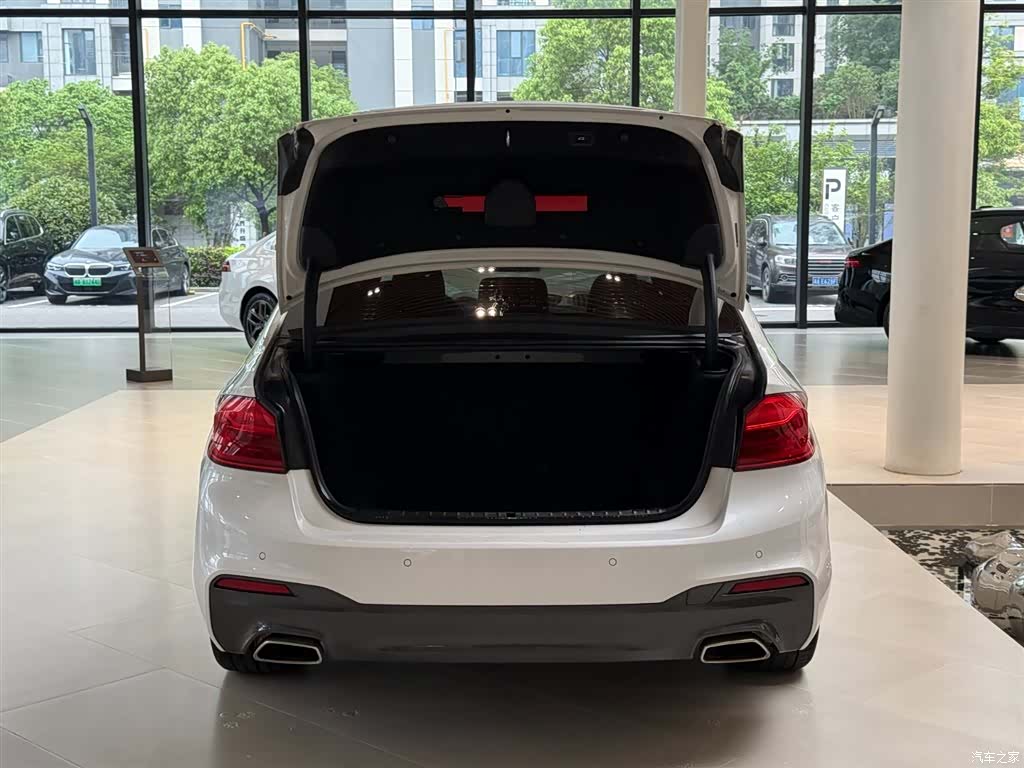 BMW 5 Series, 2020 14