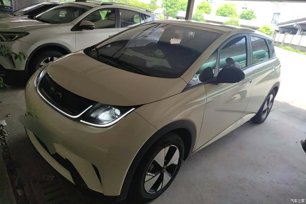 BYD Dolphin, 2023 1
