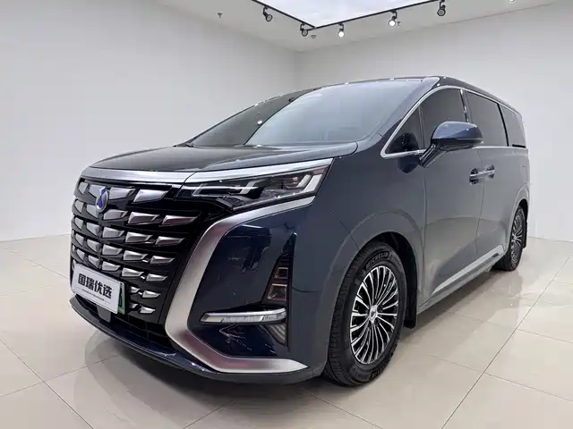 Denza D-9 2023 — купить из Китая под заказ