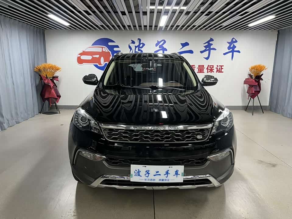 Leopaard Cheetah CS10