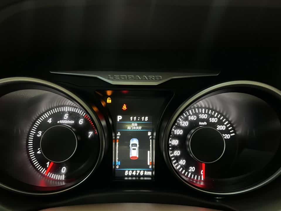 Leopaard Cheetah CS10