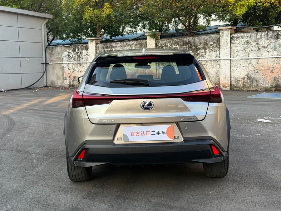Lexus UX NEV 2022, фото 11