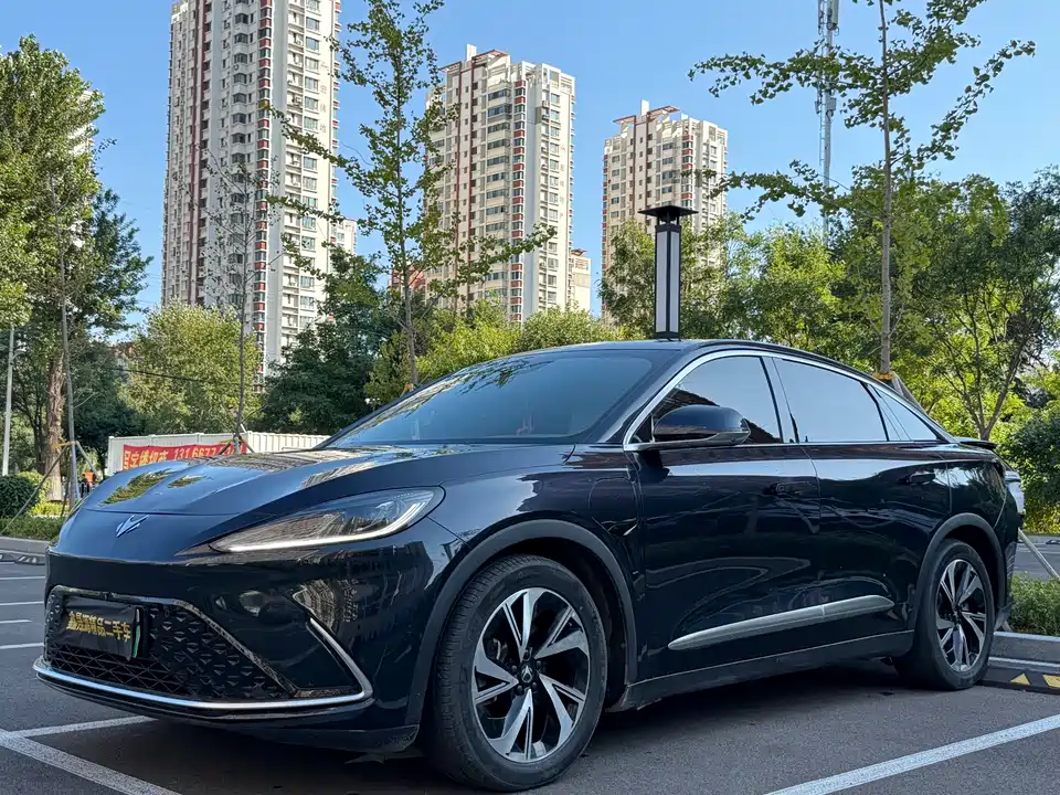 ARCFOX Polar Fox Alpha S