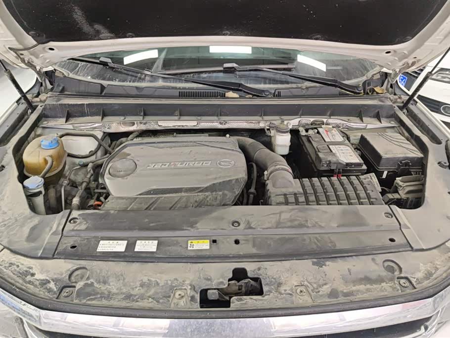 Trumpchi Trumpchi GS8