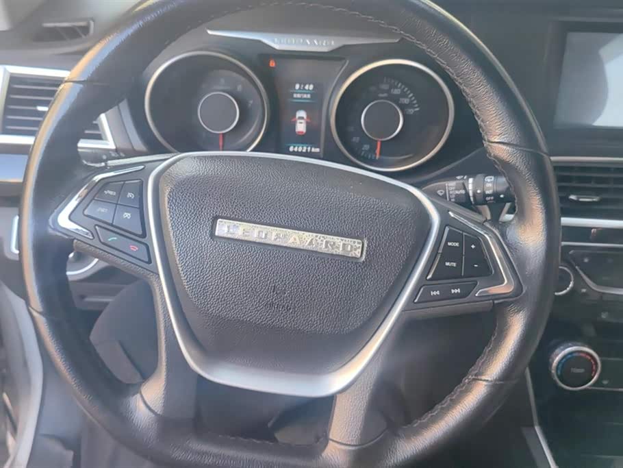 Leopaard Cheetah CS10