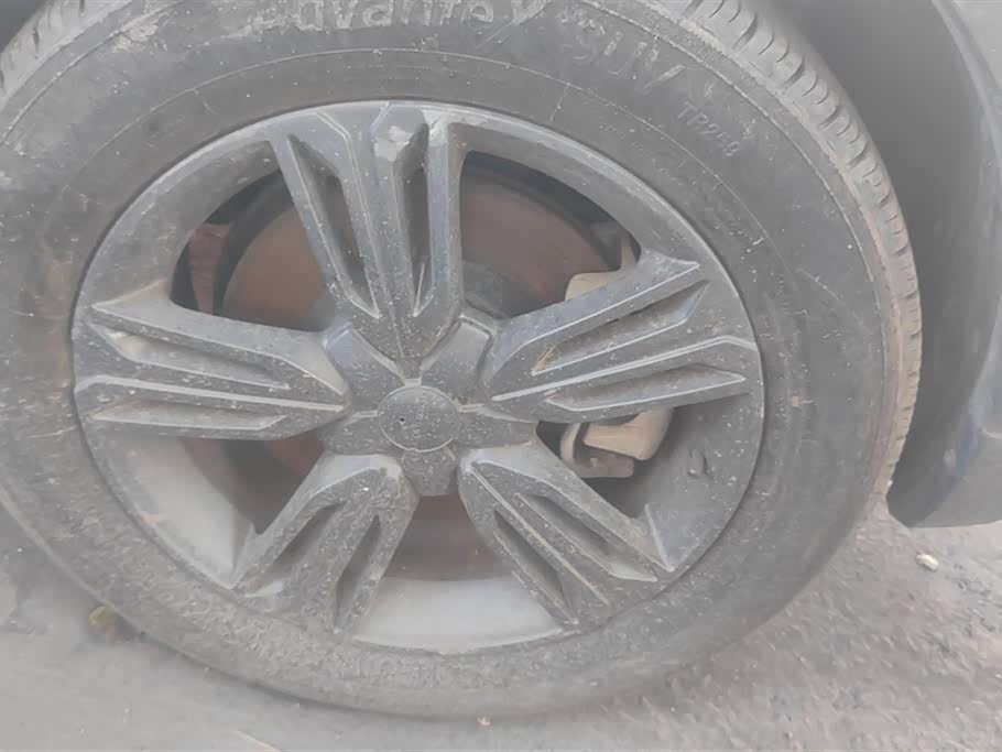 Leopaard Cheetah CS10