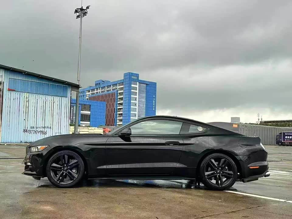Ford Mustang Ford Mustang
