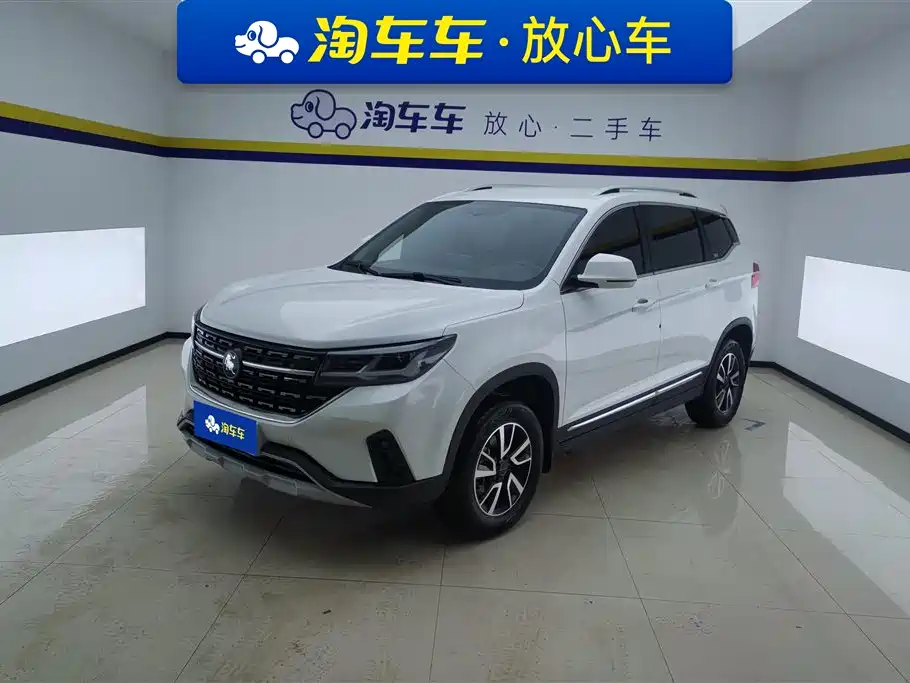 Forthing Popular T5 Forthing Popular T5