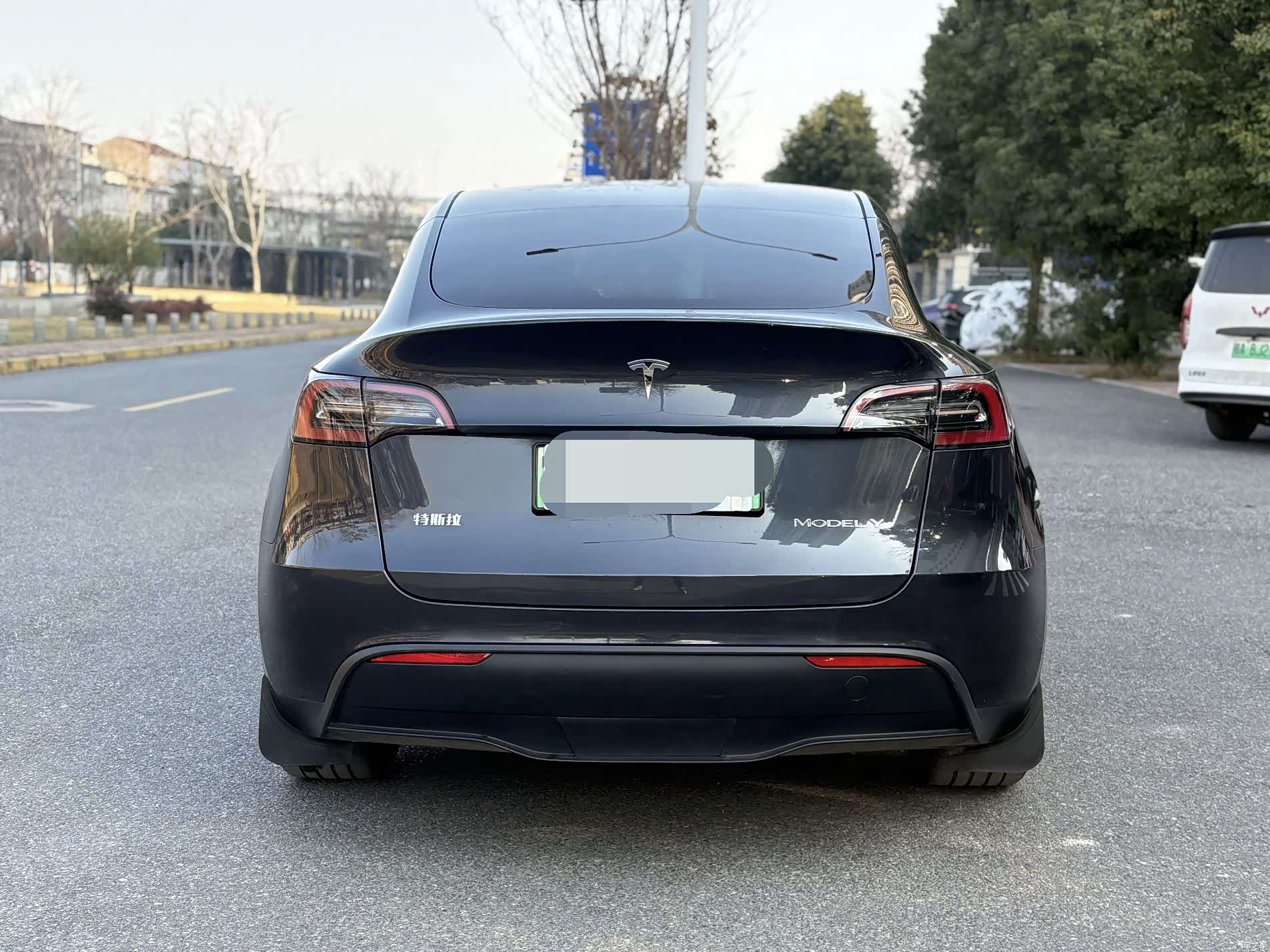 Tesla Model Y, 2024 все фото