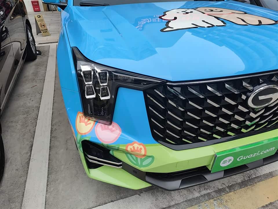 Trumpchi Trumpchi GS8