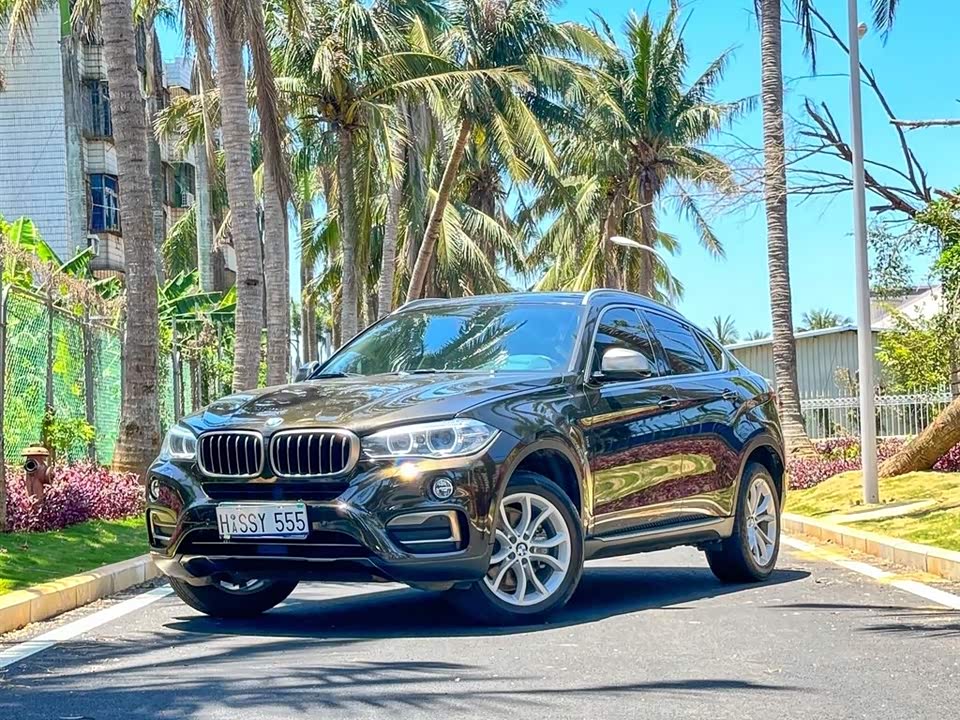 BMW X6