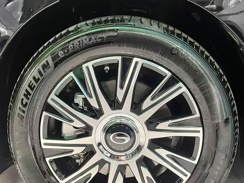 Trumpchi Trumpchi E9