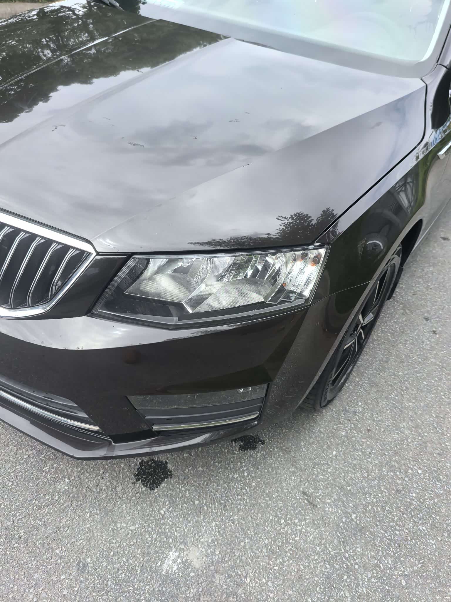 Skoda Octavia, 2017 4