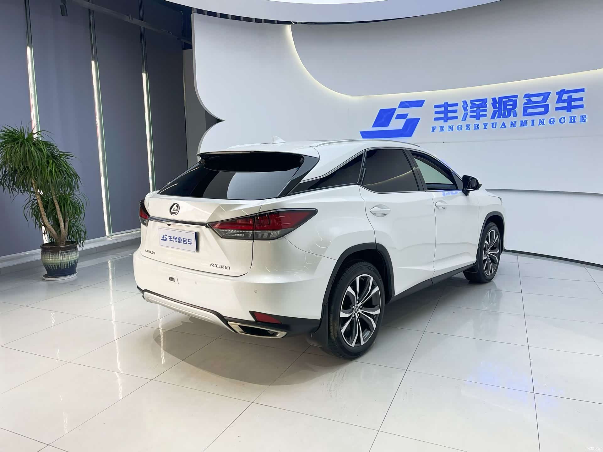 Lexus RX, 2022 3