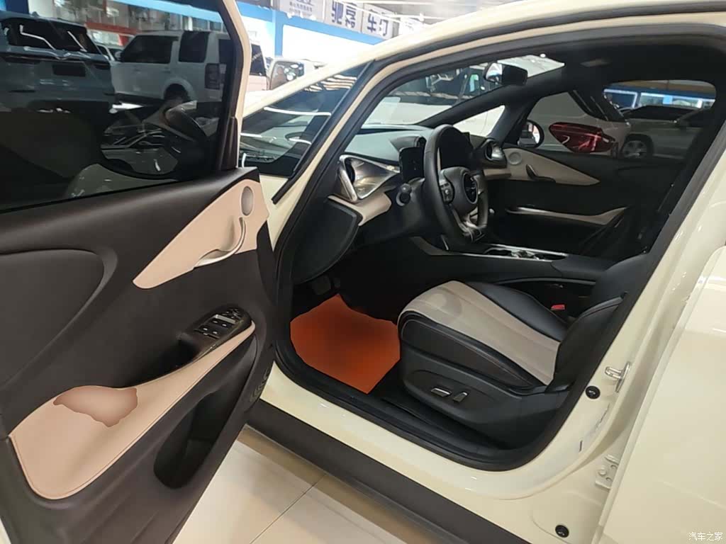 BYD Dolphin, 2024 12