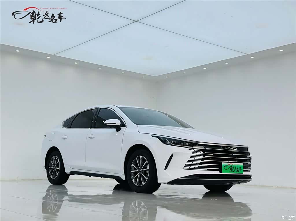 BYD Destroyer 05, 2024 2