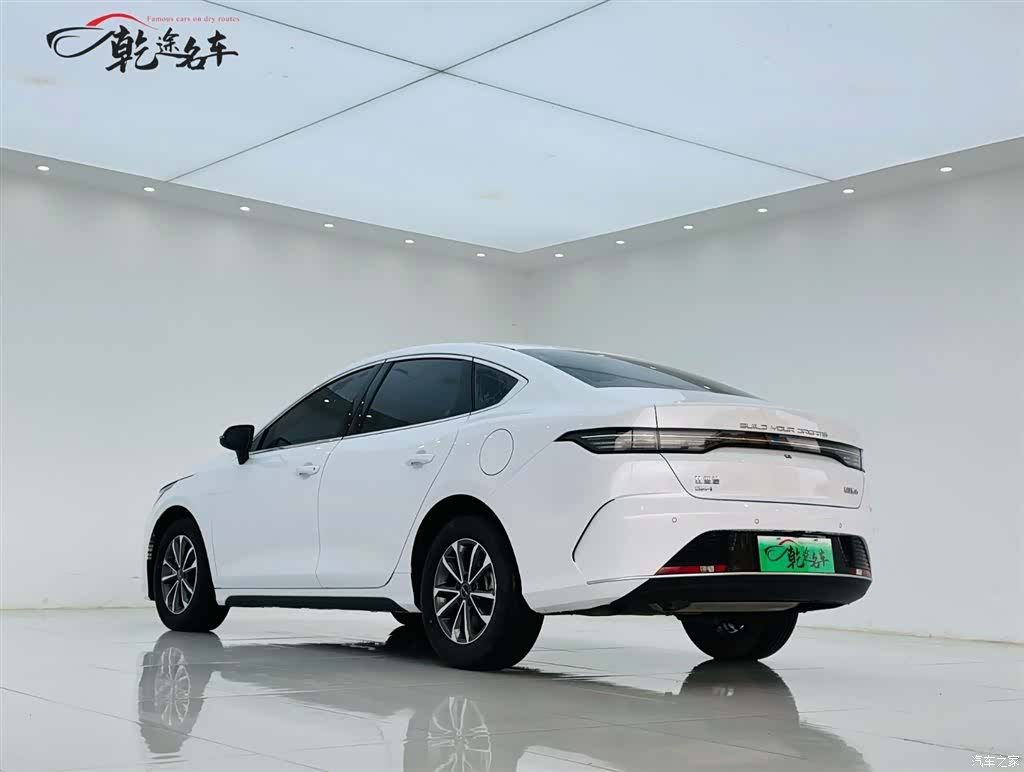 BYD Destroyer 05, 2024 все фото