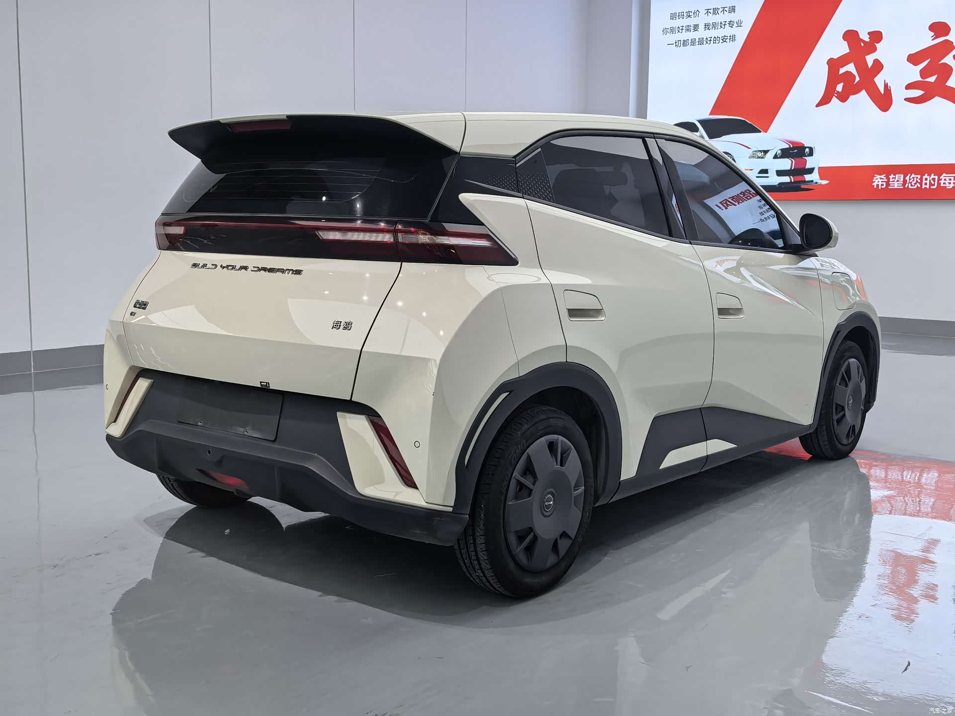 BYD Seagull, 2024 7