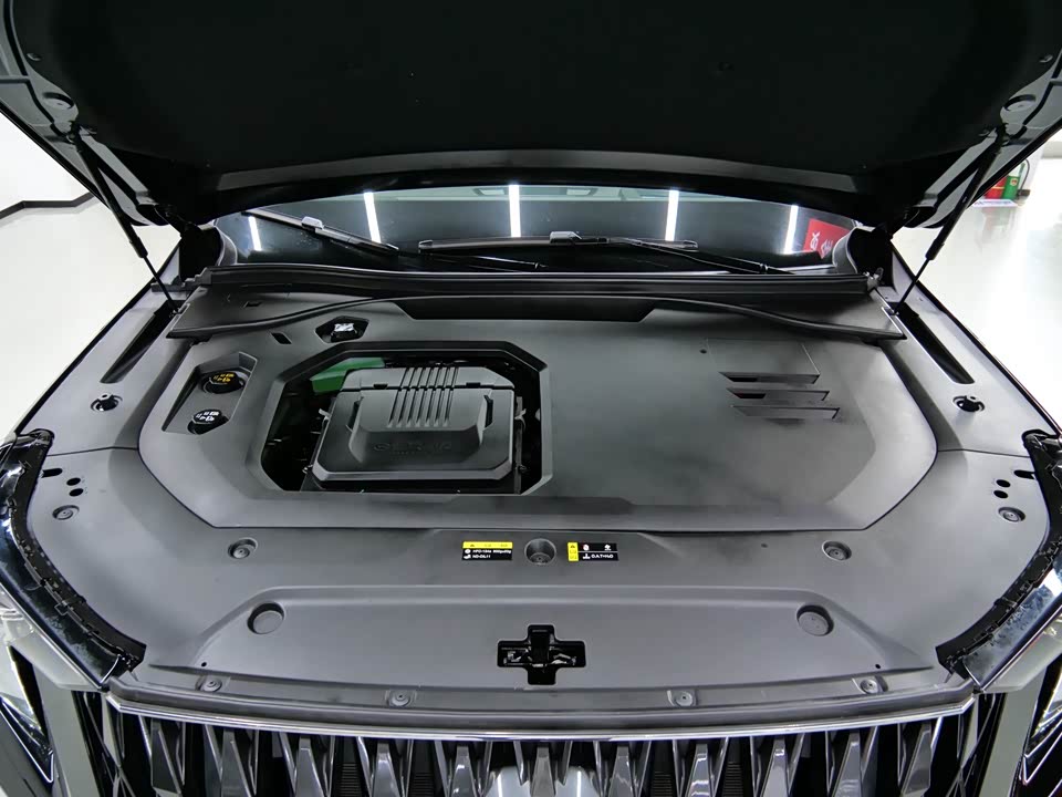 Trumpchi Trumpchi ES9